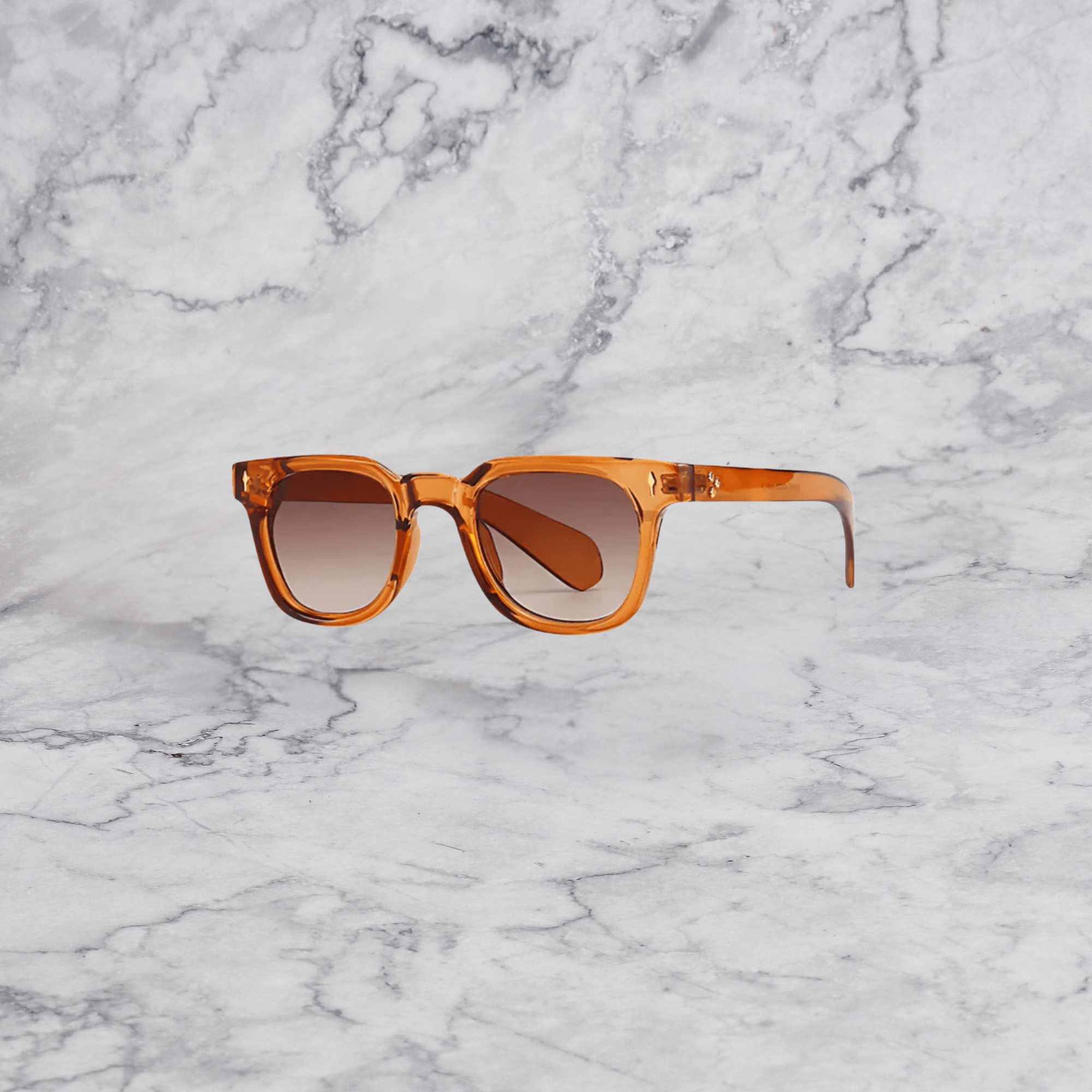 Classic Tortoiseshell